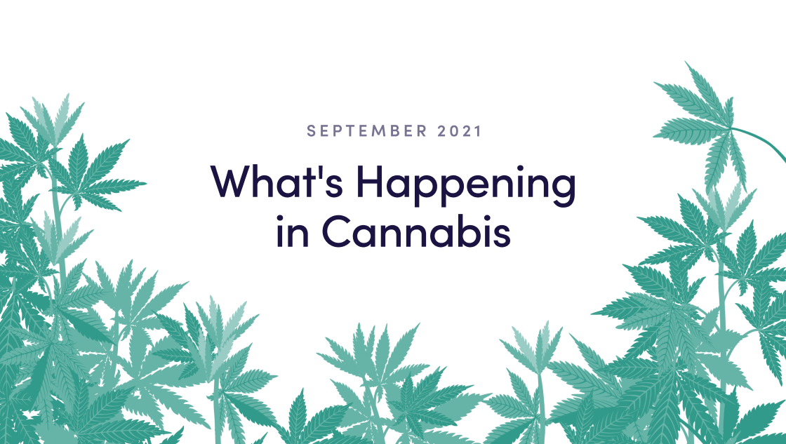 What’s Happening in Cannabis: Industry News for September 2021