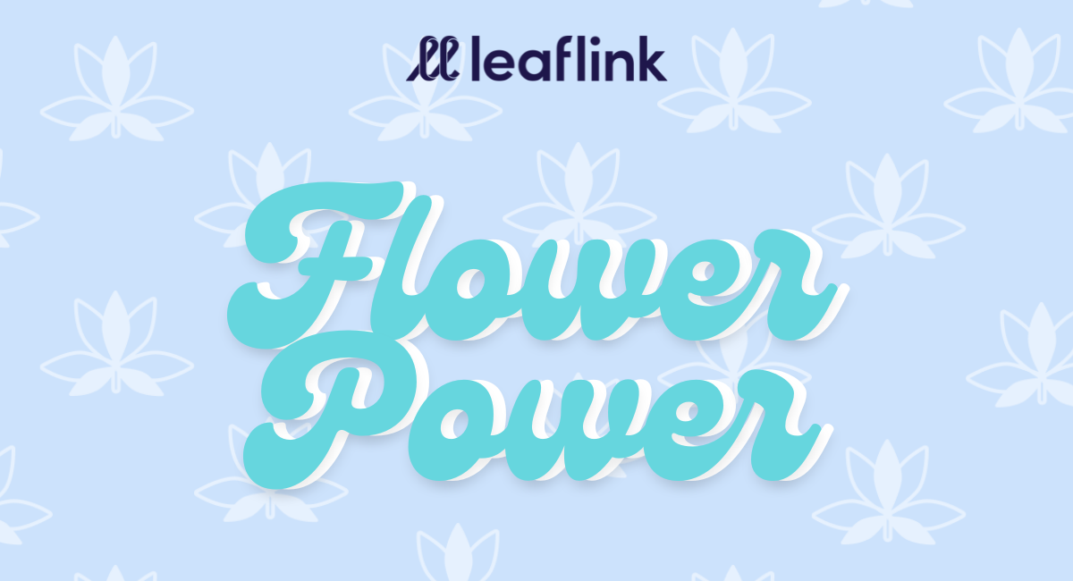 Flower Power: BIPOCANN Is Expanding Access and Investing in People