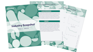 Industry snapshot report - preview