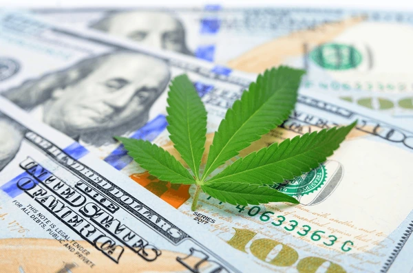Too High to Thrive: How Excessive Cannabis Taxes Undermine Legal Markets