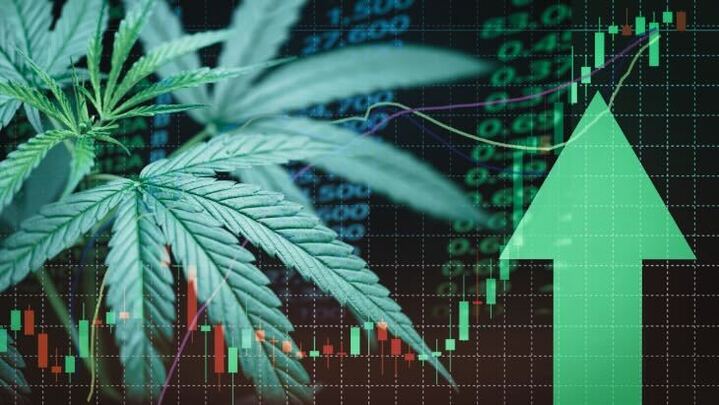 The Wholesale Run-Up to 4/20: What LeafLink Data Shows